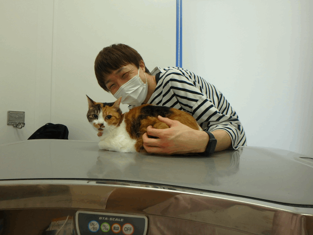 飼主さんが決まりました（つくし）