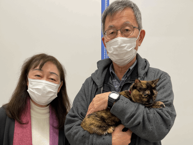 保護猫 ジェシー