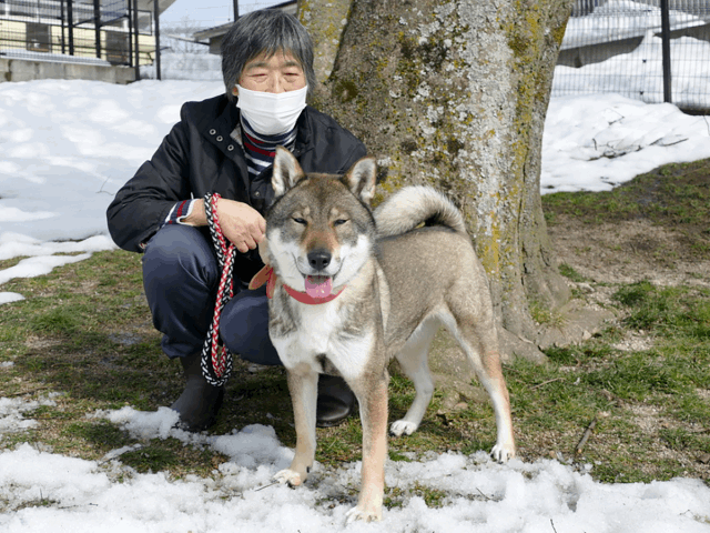 保護犬 このみ