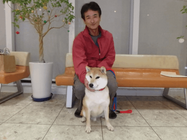 保護犬 リュウキ