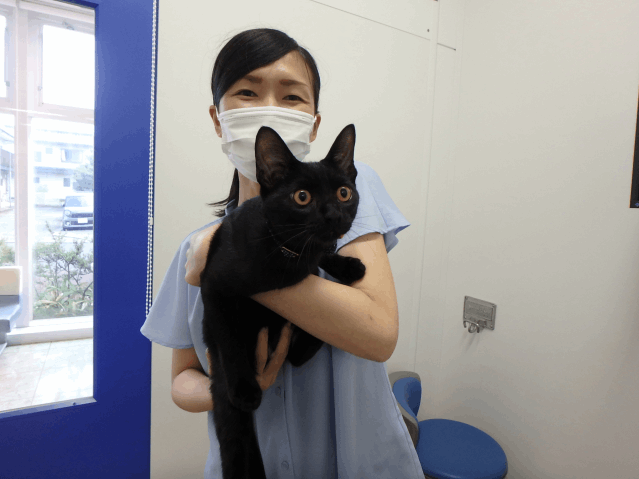 飼主さんが決まりました（ナル）