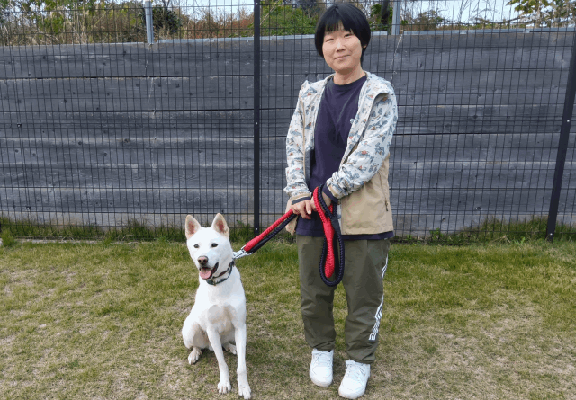 保護犬 ホクト