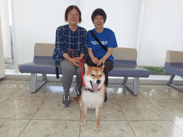 飼主さんが決まりました（オーディン）