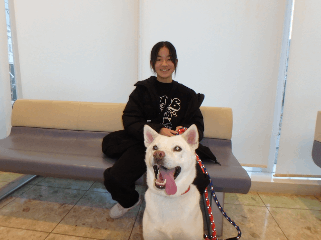 飼主さんが決まりました（シロタ）