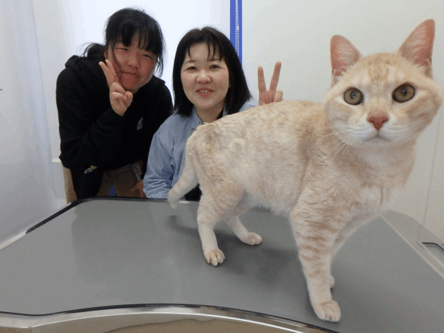 飼主さんが決まりました（しんのすけ）