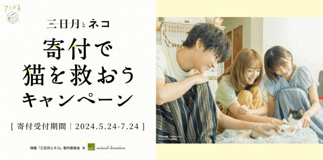 アニドネ×映画『三日月とネコ』の製作委員会とのコラボで、「寄付で猫を救おうキャンペーン」がスタートしました！