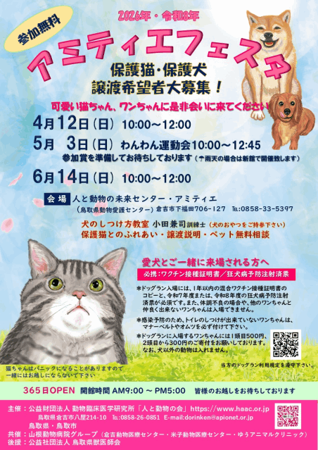 アミティエフェスタ